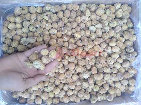 انجیر شیراز، فارس  استهبان، نی ریز و داراب از جمله برندهای مشهور بازار خشکبار ایران میباشند. علت آن آب و هوا، همچنین شرایط اقلیمی مناسب این استان است. قیمت انجیر شیرازی نسبت به سایر شهرستان های ایران بالا است. اما با توجه به تولید بالای این منطقه و کیفیت خوبی که دانه ها دارند، این قیمت بسیار مناسب م ...